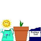 a0052666_1844071.gif