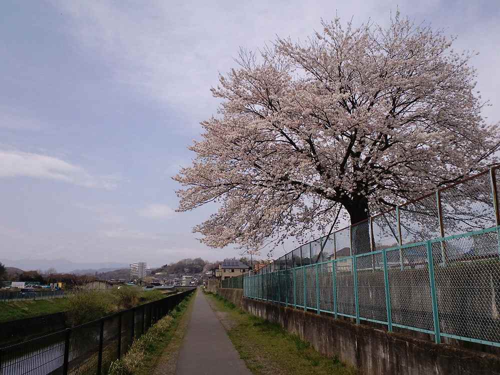 c0007169_1393750.jpg