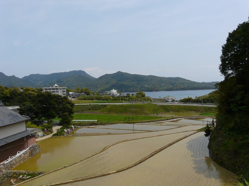 倉岳の棚田とえびすさん_e0165473_22102314.jpg