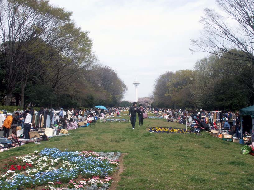 東川&砂川堀のしだれ桜+航空公園　フリマ　+α  _b0075575_2357391.jpg