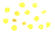 c0211283_837513.gif