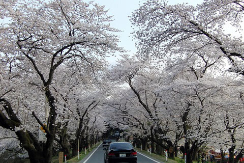 忍城と、北本自然観察公園_f0030085_221162.jpg