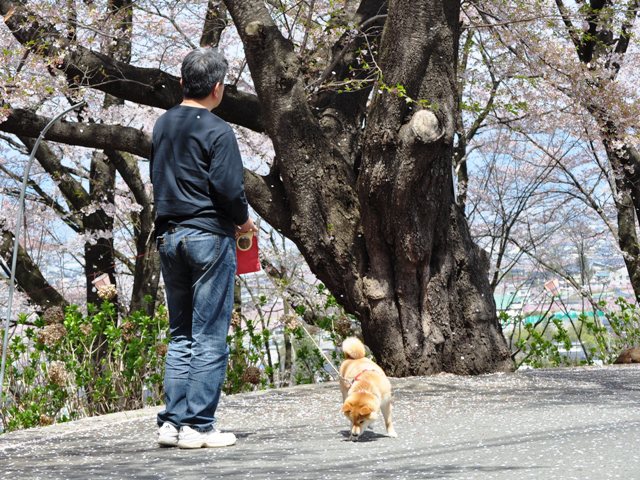 桃畑でこんにちは!_a0126590_20221840.jpg