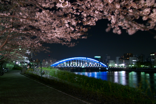 隅田川沿いの夜桜_c0082191_11525112.jpg