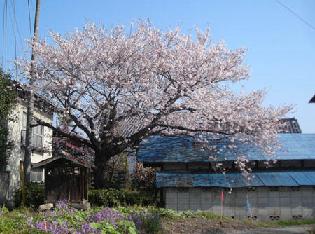 d0000995_855047.jpg