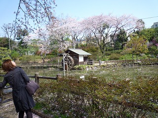 渋谷-青山-原宿-渋谷_e0076995_1192658.jpg