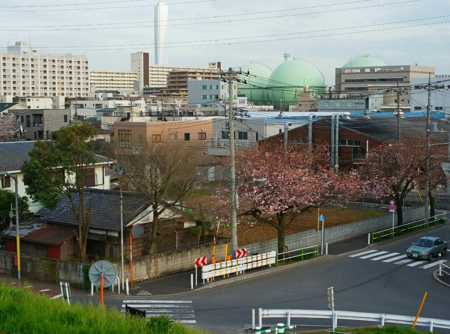 d0134896_1314986.jpg