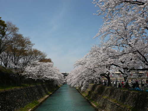 f0227200_015625.jpg
