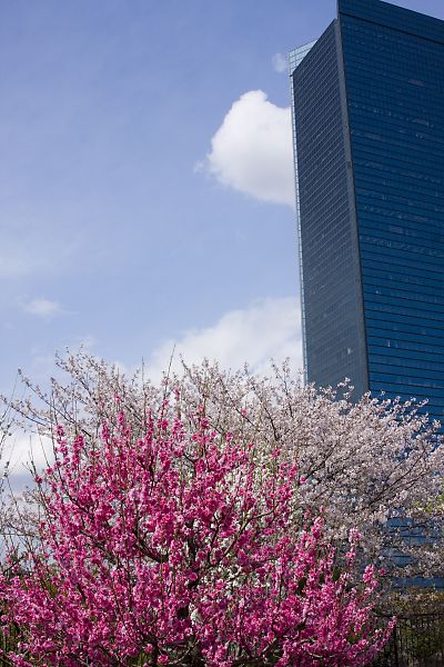 e0193503_115237.jpg
