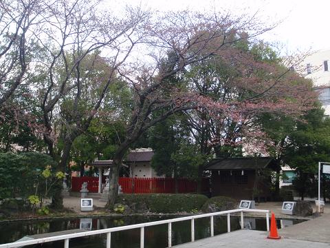 c0209409_17135596.jpg