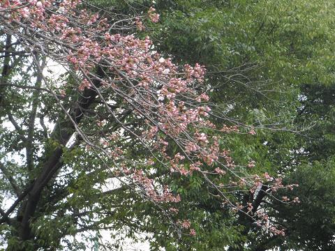 c0209409_1715495.jpg