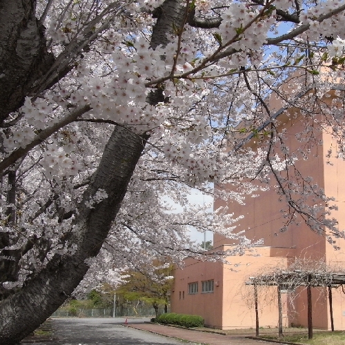 f0006510_0265590.jpg