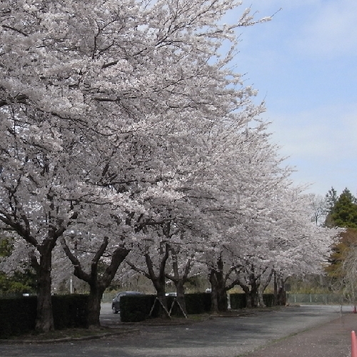 f0006510_0319.jpg