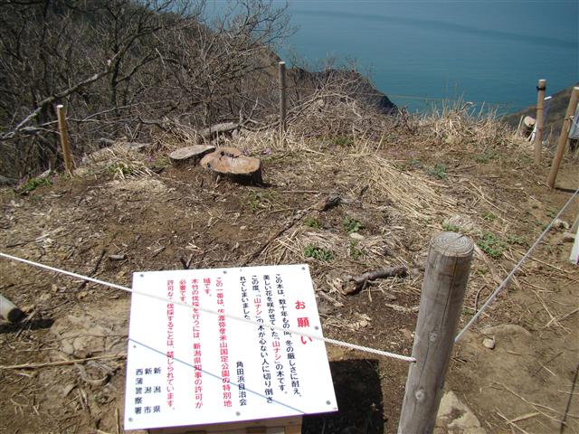 a0127015_1944045.jpg