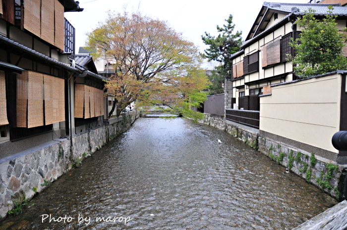 わんこと京都旅行⑩　祇園白川編♪♪_e0160417_1131225.jpg