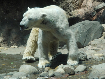 e0163618_23541357.jpg