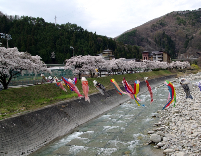 桜のある風景　（２）_a0126019_19263598.jpg