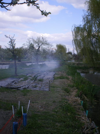 c0124619_5513967.jpg