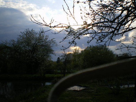 c0124619_61446.jpg