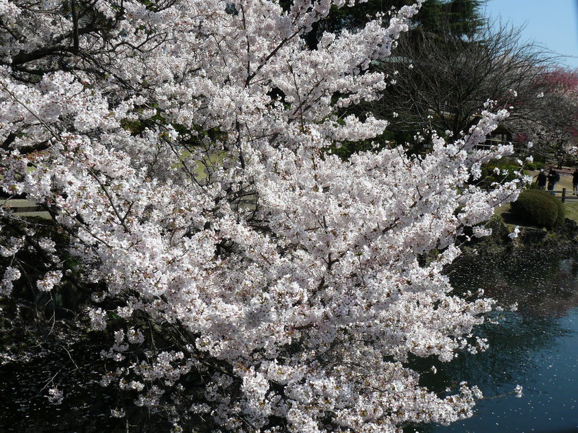 f0004019_11452117.jpg