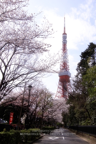 c0199623_17255136.jpg