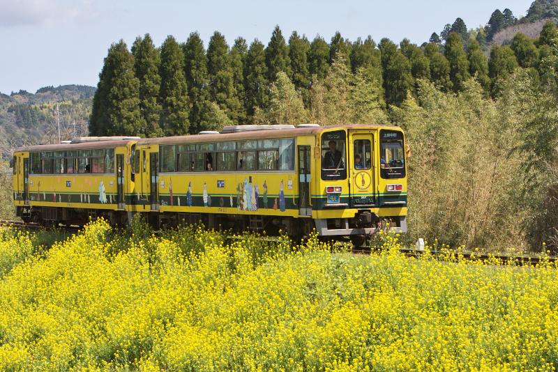 いすみ鉄道_c0104226_21191429.jpg