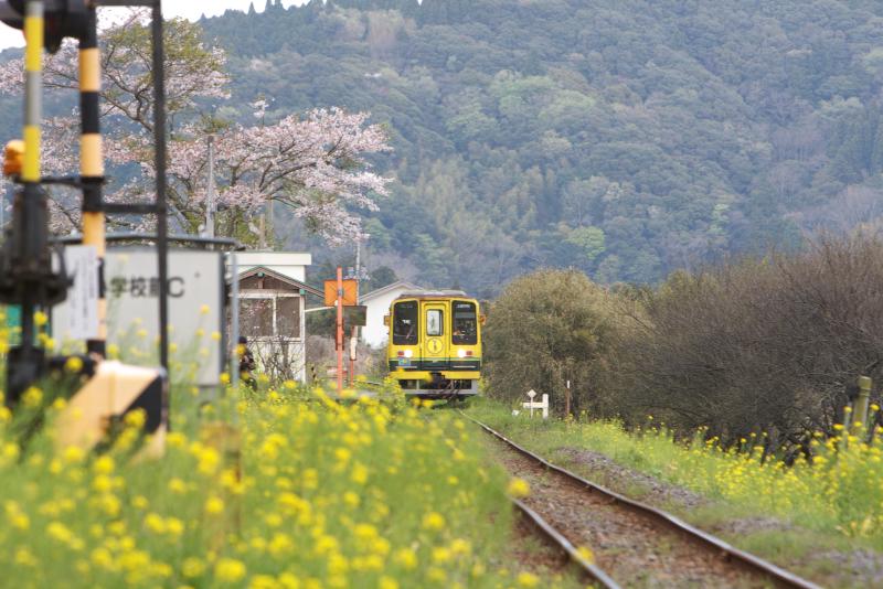 いすみ鉄道_c0104226_21193843.jpg