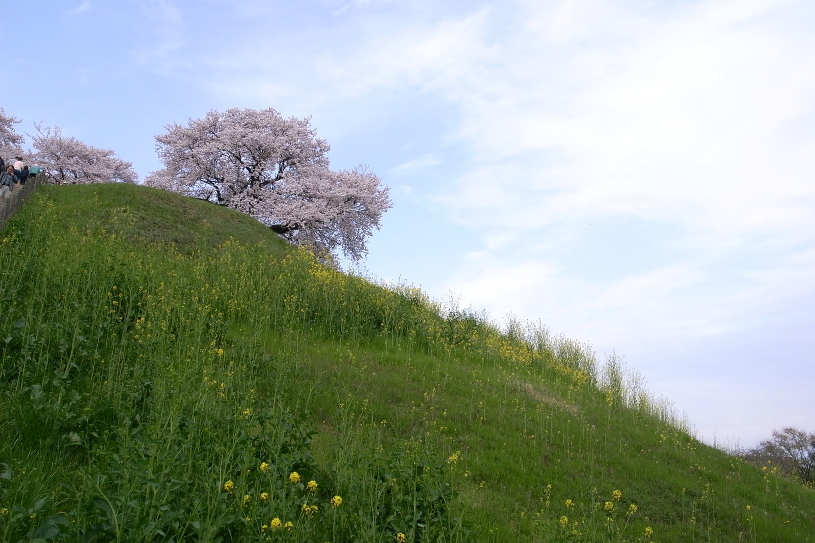 丸墓山古墳 さきたま古墳群 埼玉県行田市 世界が嫉妬する寺へ