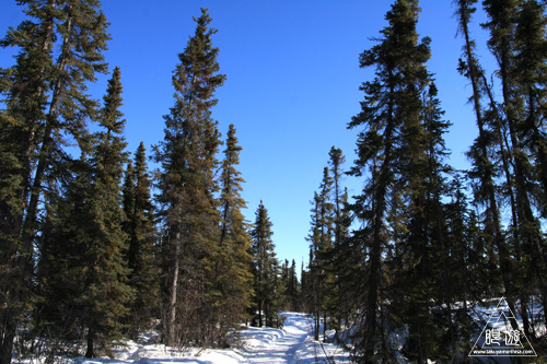 036 Yellowknife ~ラストチャンス~_c0211532_831409.jpg