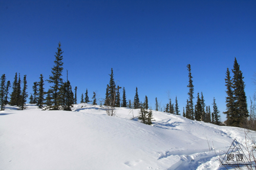 036 Yellowknife ~ラストチャンス~_c0211532_86516.jpg