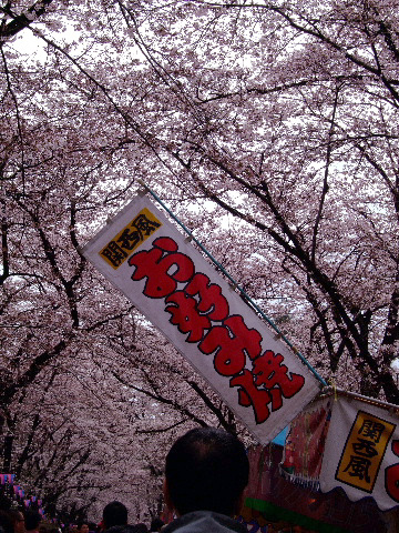 赤城千本桜_c0000134_14423175.jpg