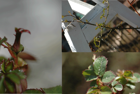 f0188237_025629.gif
