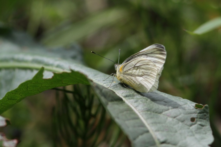 c0172139_1044136.jpg