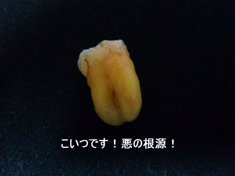 c0174644_2224583.jpg