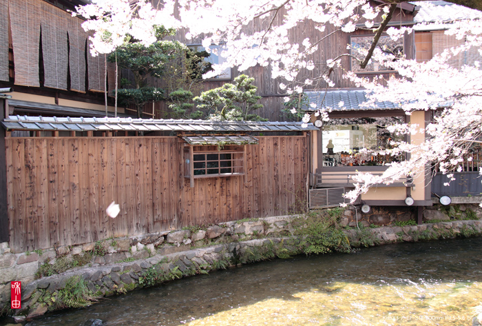 c0187744_17216.jpg