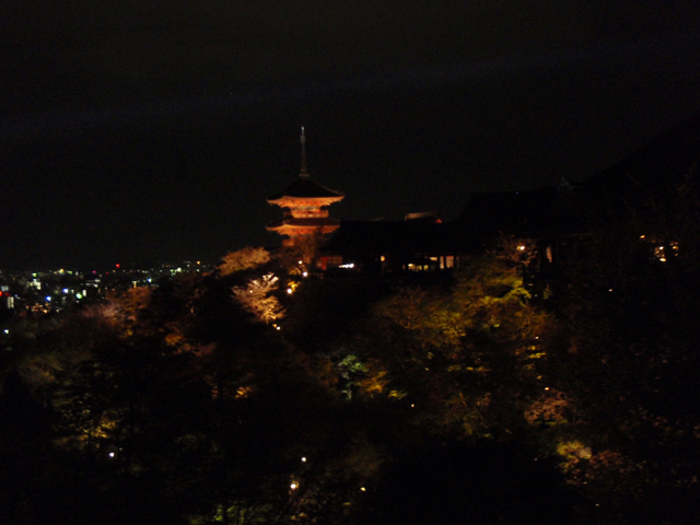 京都・清水寺の夜桜_d0145745_20565839.jpg