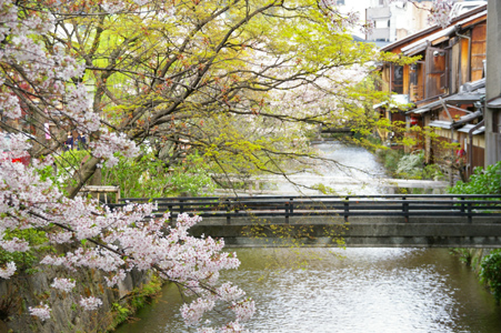 京都旅行1日目_c0200246_19295218.jpg