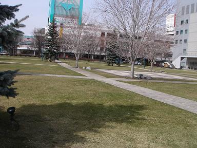 e0181047_21135645.jpg
