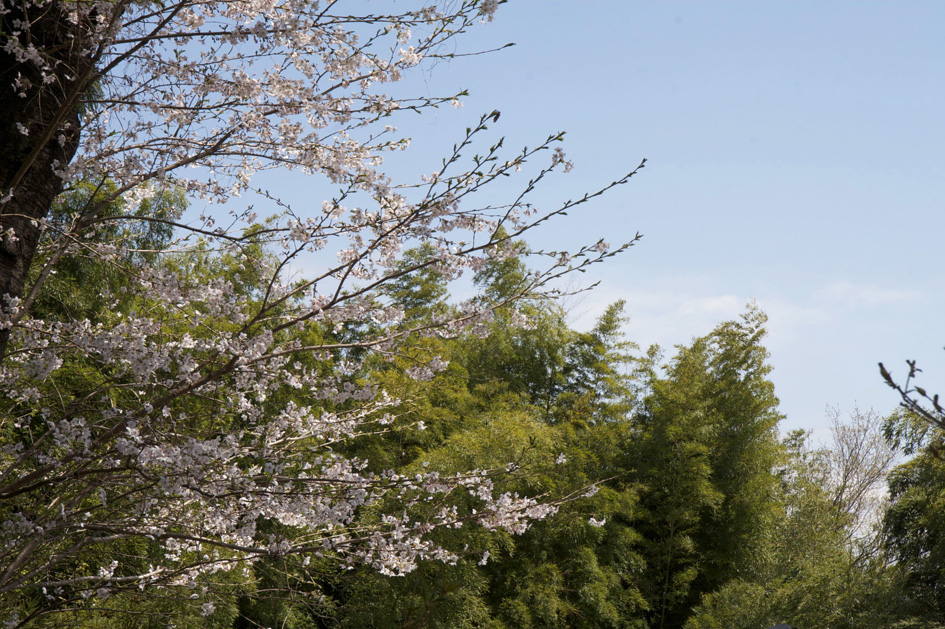 桐生 丘公園 (桐生が岡遊園地)_e0127948_19354063.jpg