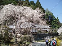 室生口大野駅下車～大野寺~龍鎮渓谷～西光寺～滝谷しょうぶ園～三本松駅まで歩く_d0048350_20144258.jpg