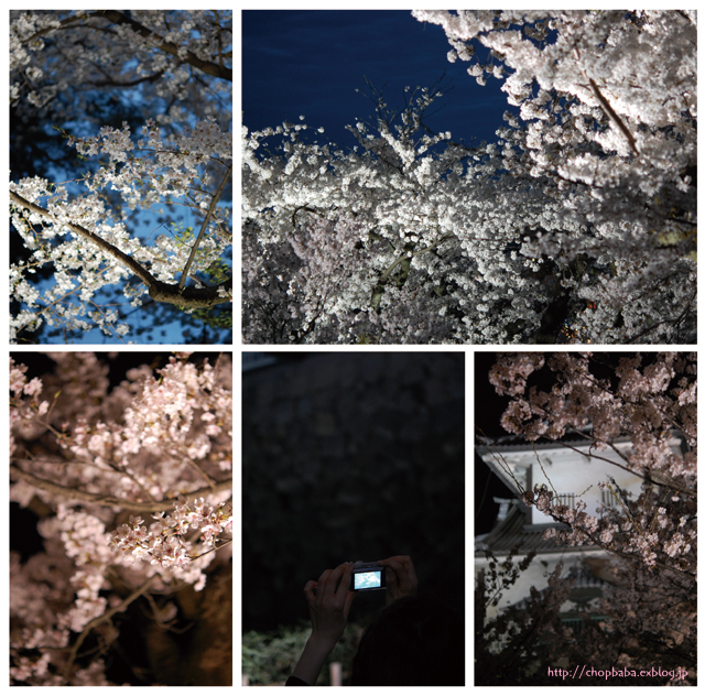 夜桜_b0128851_8172514.jpg
