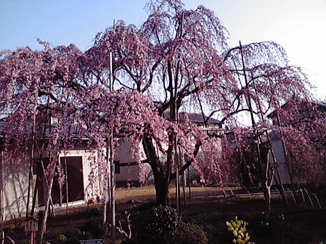 f0201551_1031865.jpg