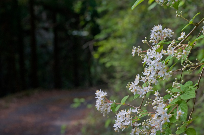 c0024254_31293.jpg