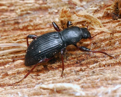 e0035757_18214966.jpg