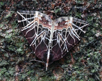 e0035757_18324876.jpg