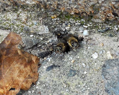 e0035757_18502774.jpg