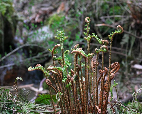 e0035757_1975192.jpg