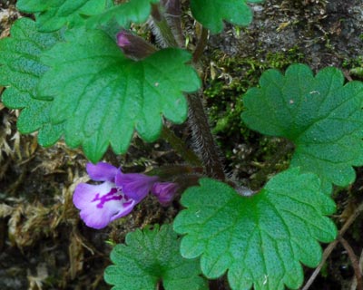 e0035757_1982666.jpg