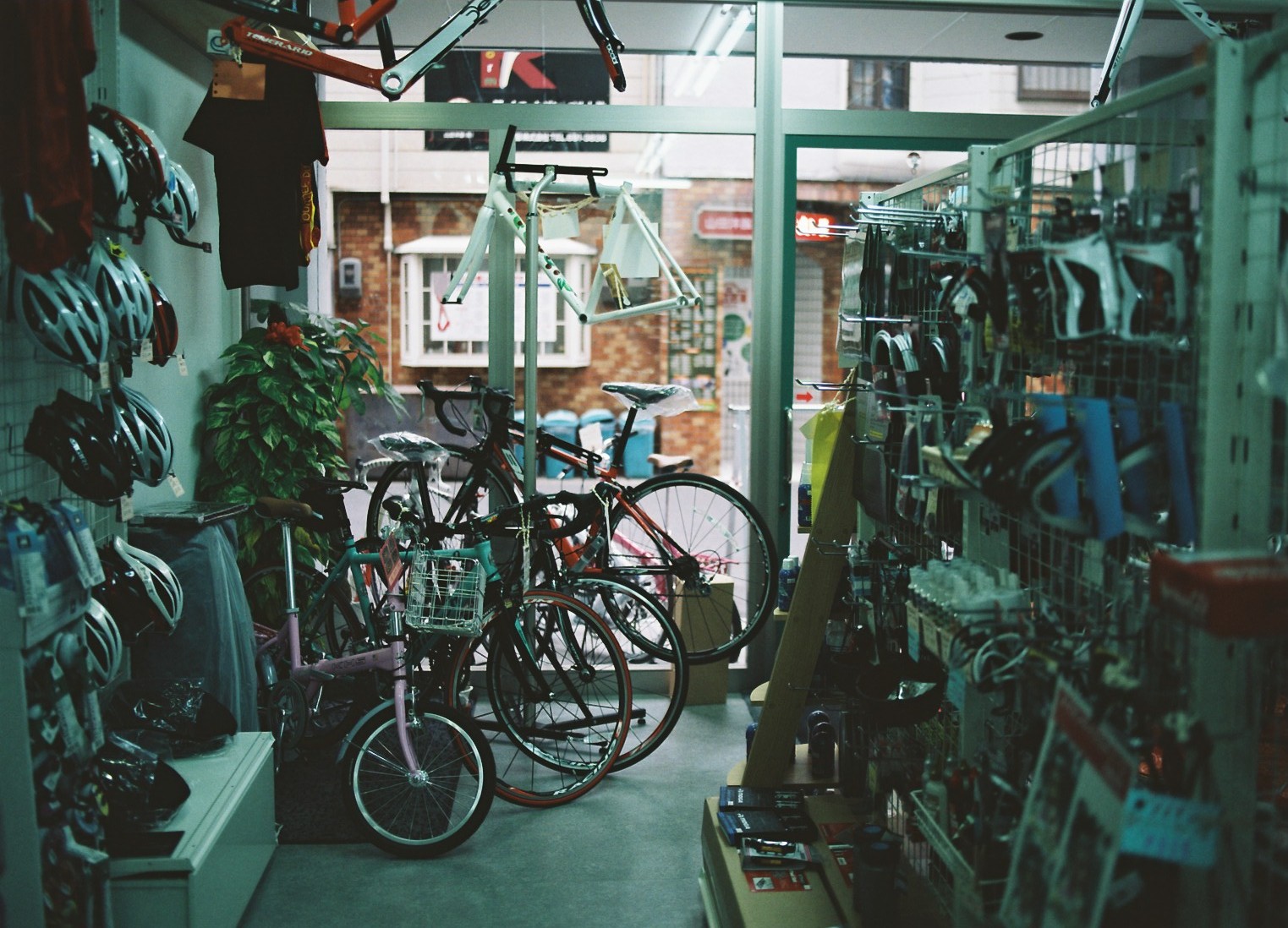 f0209159_1905893.jpg