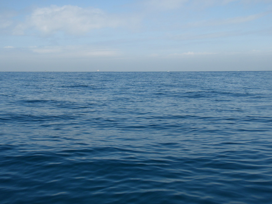 c0111861_12453558.jpg
